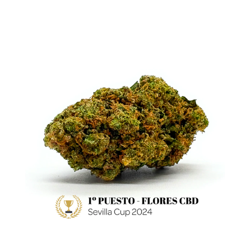 Red Fruit Indoor | La Catalana CBD - Image 2