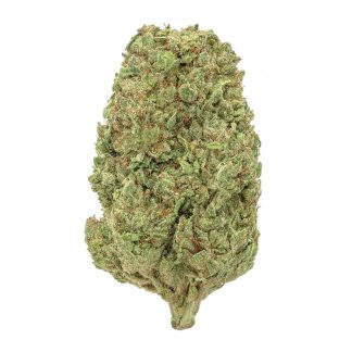 Northern Lights Indoor Hidro | HiiCBD