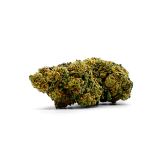 New York Diesel Indoor  | La Catalana CBD