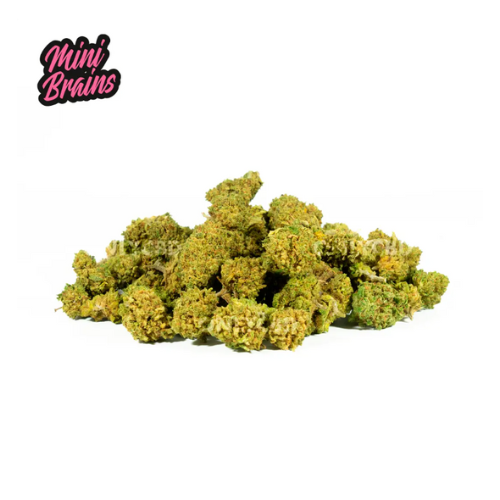 Small Buds Mini Brains 25gr | Only CBD - Image 2