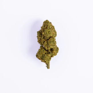 Marijuana Indoor | Fanatics Family