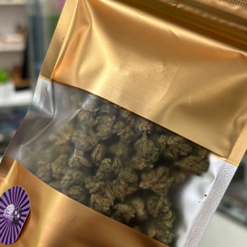 Small Buds Amnesia Indoor Hidro 10GR | Fanatics Family - Imagen 2