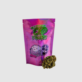 Amnesia Indoor Hidro | Fanatics Family