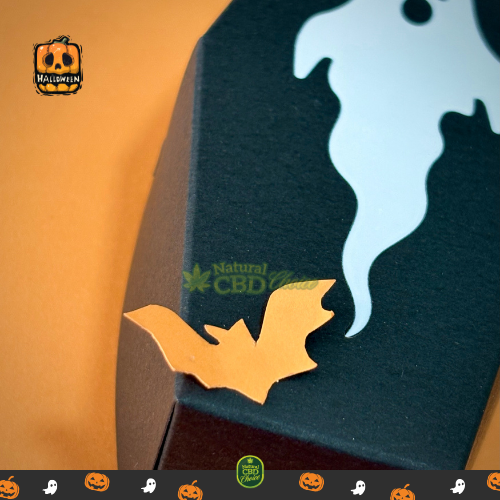 Pack Orange Halloween - Image 3