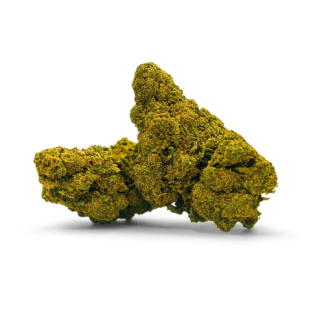 B.E.A CBD | La Catalana CBD