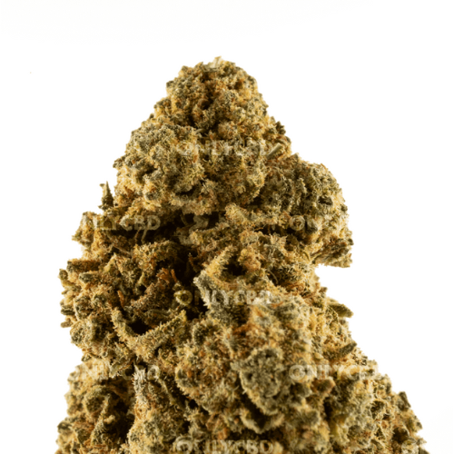 Mango Haze CBD 1gr | Only CBD - Image 2