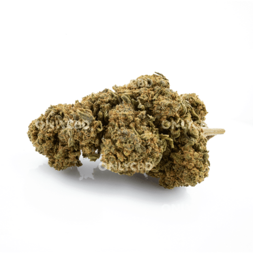 Mango Haze CBD 1gr | Only CBD - Image 3